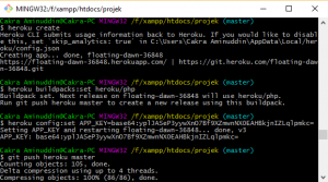 Heroku Deploy